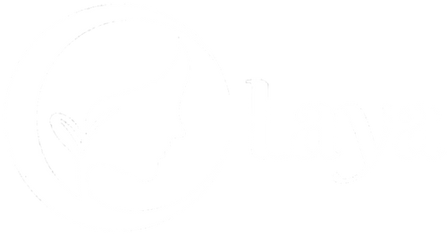 Laya Cycle